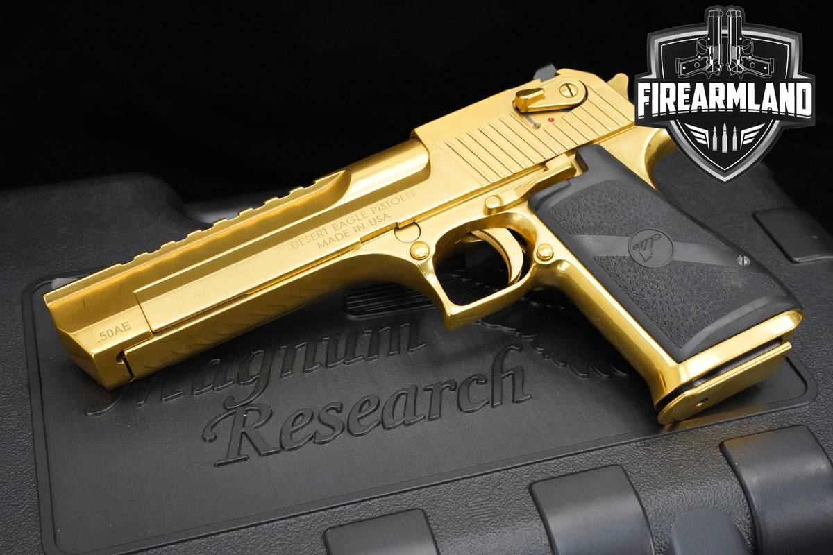 Magnum Research Desert Eagle MK XIX 50 AE Magnum-Research-Desert-Eagle CASE
