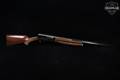 1982 Browning Auto-5 Light Twelve 12 Gauge Blued & Walnut in Good Condition Image 3
