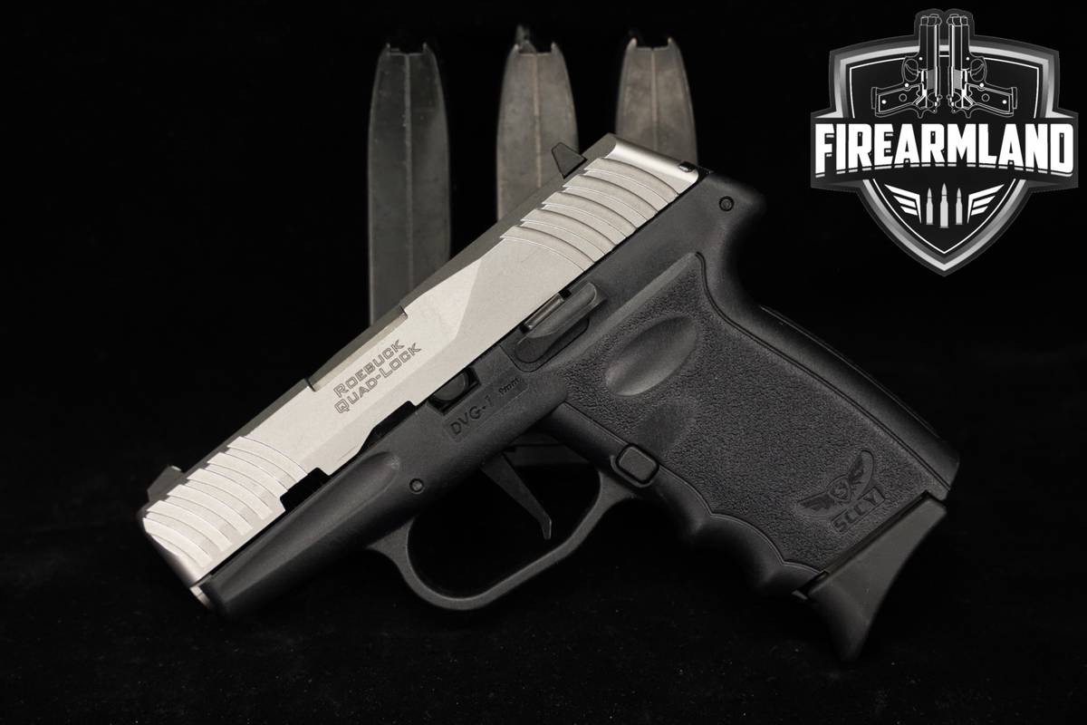 SCCY Industries DVG-1 9mm 3.1" Two-Tone Stainless DVG1 +4 MAGS
