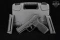 Sig Sauer P322 .22 LR Nitron in Excellent Condition Image 2