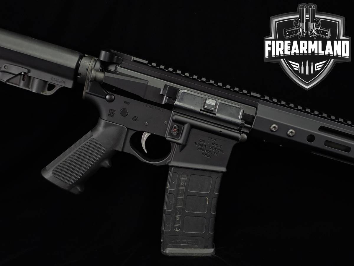 Spikes Tactical ST-15 DTOM Edition 300 Blackout AR15 Sporting Rifle