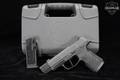 2023 Sig Sauer P365 Wilson Combat Frame 9mm Luger Black in Very Good Condition Image 2