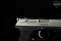 2009 Sturm Ruger P95 PR 9mm Luger (9x19 Para) Two-Tone in Excellent Condition Image 3