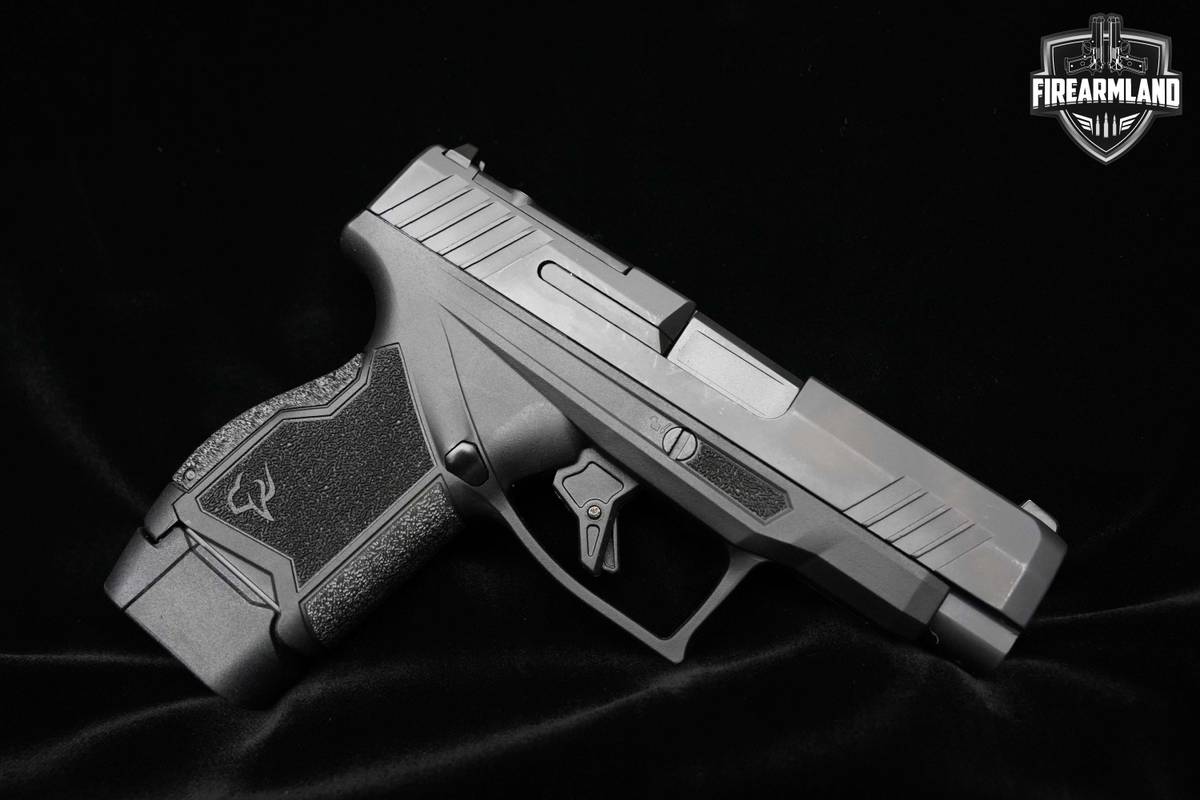 ORIG CASE Taurus GX4XL Pistol Striker Black GX4XL Taurus 3.7" 13rd 9mm 2MAG