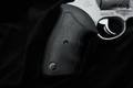 2022 Taurus M44 .44 Mag. Matte Stainless in Excellent Condition Image 3