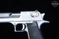 Israel Weapon Industries (IWI) Desert Eagle Magnum Research Mark-XIX .50 AE Stainless Steel in Excellent Condition Image 4