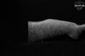 Weatherby Mark V Accumark .300 Wby. Mag. Stainless & Gray/Black Spiderweb in Very Good Condition Image 4