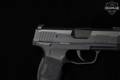 2020 Sig Sauer P365 MS 9mm Luger Nitron in Excellent Condition Image 5