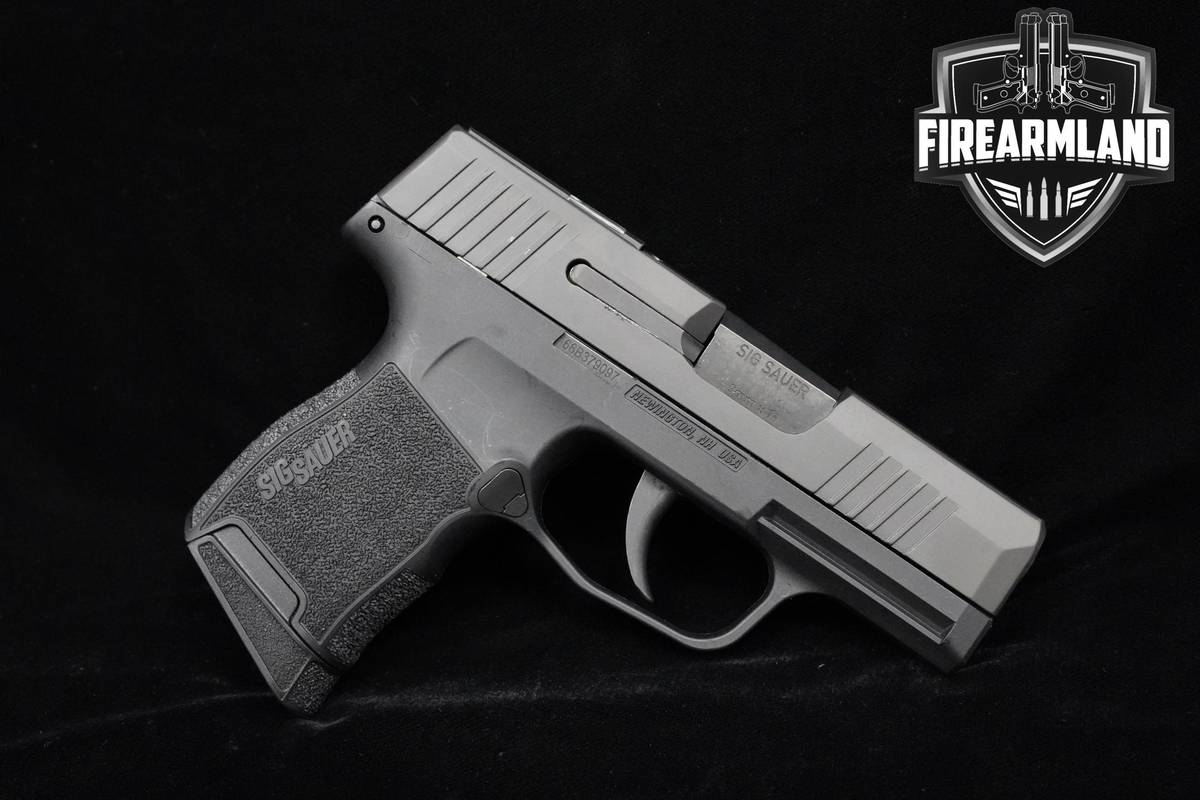 Sig Sauer P365 SAS 9mm 3.1" P365 P-365 CCW