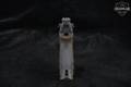 Walther P22 CA .22 LR OD Green in Very Good Condition Image 4