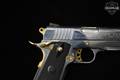 Taurus PT-1911 AR .45 ACP Chrome/Gold in Excellent Condition Image 5