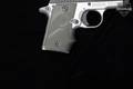 Sig Sauer P238 Platinum .380 ACP Two-Tone in Good Condition Image 3