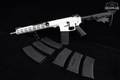 Great Lakes Firearms and Ammunition GL-15 .223 Wylde .223 Wylde White Cerakote in Good Condition Image 2
