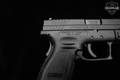 Springfield Armory XD-9 Sub-Compact 9mm Luger Melonite in Excellent Condition Image 4