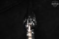 2003 F.lli Pietta Model 1858 New Army .44 Blued in Very Good Condition Image 5