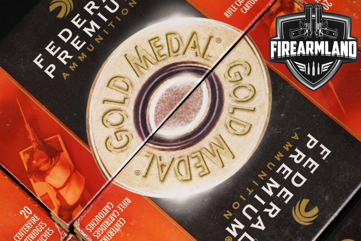 300 RDS! 7.62 NATO Ammo 762 Ammunition