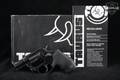 Taurus M856 .38 Spl. Blued in Excellent Condition Image 2