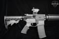 Smith & Wesson (S&W) M&P-15 Sport-II 5.56mm NATO Anodized Black in Excellent Condition Image 3