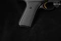 Browning Buckmark .22 LR Two-Tone in Excellent Condition Image 4