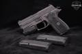 Sig Sauer P229 Legion 9mm Luger Legion Gray in Very Good Condition Image 2