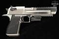 Magnum Research Desert Eagle Mark XIX .50 AE Satin Stainless in Fair Condition Image 4