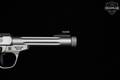 Smith & Wesson (S&W) SW22 Victory .22 LR Silver in Excellent Condition Image 5