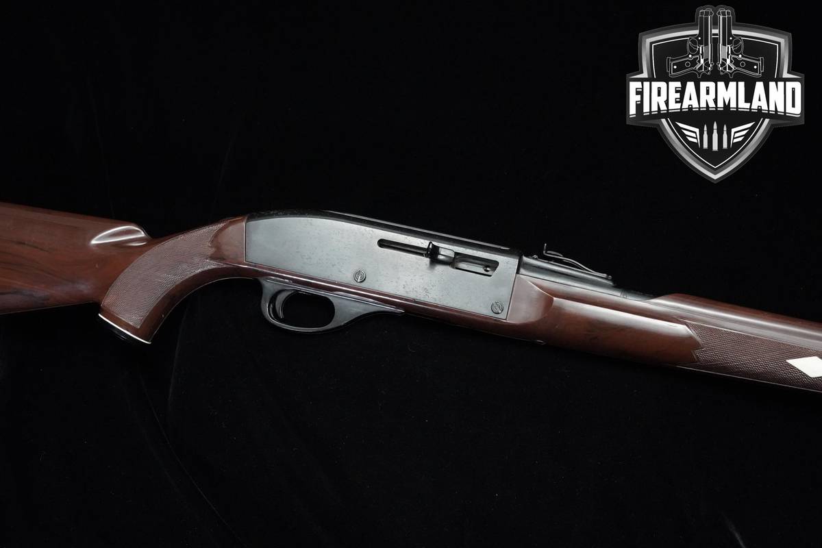 Remington Nylon 66 22LR 19" Blued Remington