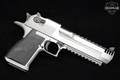 Magnum Research Desert Eagle Mark XIX .429 DE Magnum (Desert Eagle) Stainless Steel in Very Good Condition Image 3