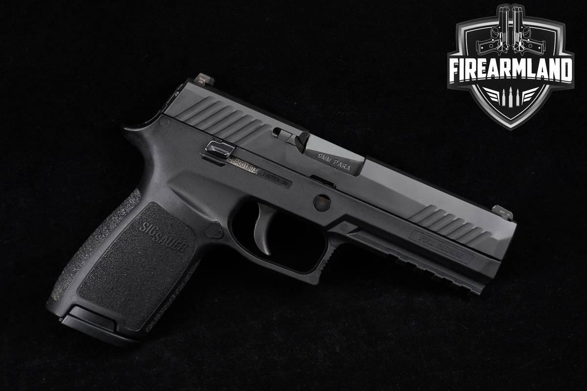 Sig Sauer P320 Full-Size 9mm 4.7" P 320 2MAGS & HOLSTER