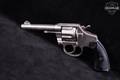 1907 Colt Police Positive First Issue .38 S&W Nickel in Fair Condition Image 3