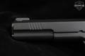 Dan Wesson Bruin 10mm Black in Excellent Condition Image 5