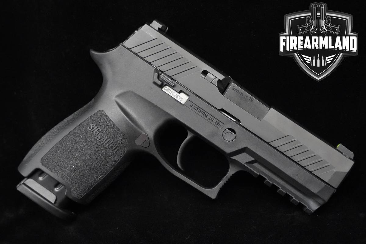 Sig Sauer P320 Compact 9mm 3.9" Nitron Sig-Sauer P320 P-320 3MAGS & HOLSTER