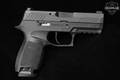 Sig Sauer P320 Compact 9mm Luger Nitron in Very Good Condition Image 3