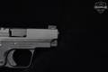 Springfield Armory 911 .380 ACP Black in Excellent Condition Image 4