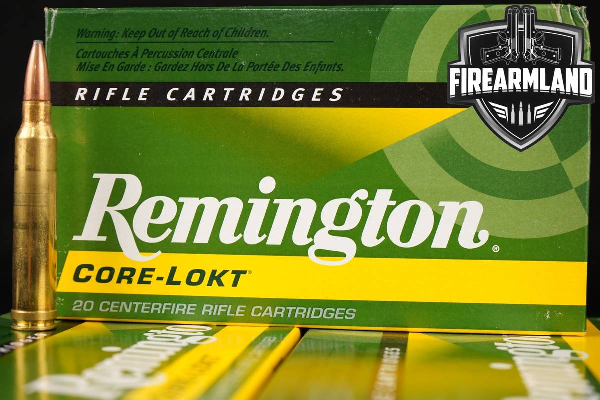 60 RDS! 300 Win Magnum Ammo Mag Ammunition