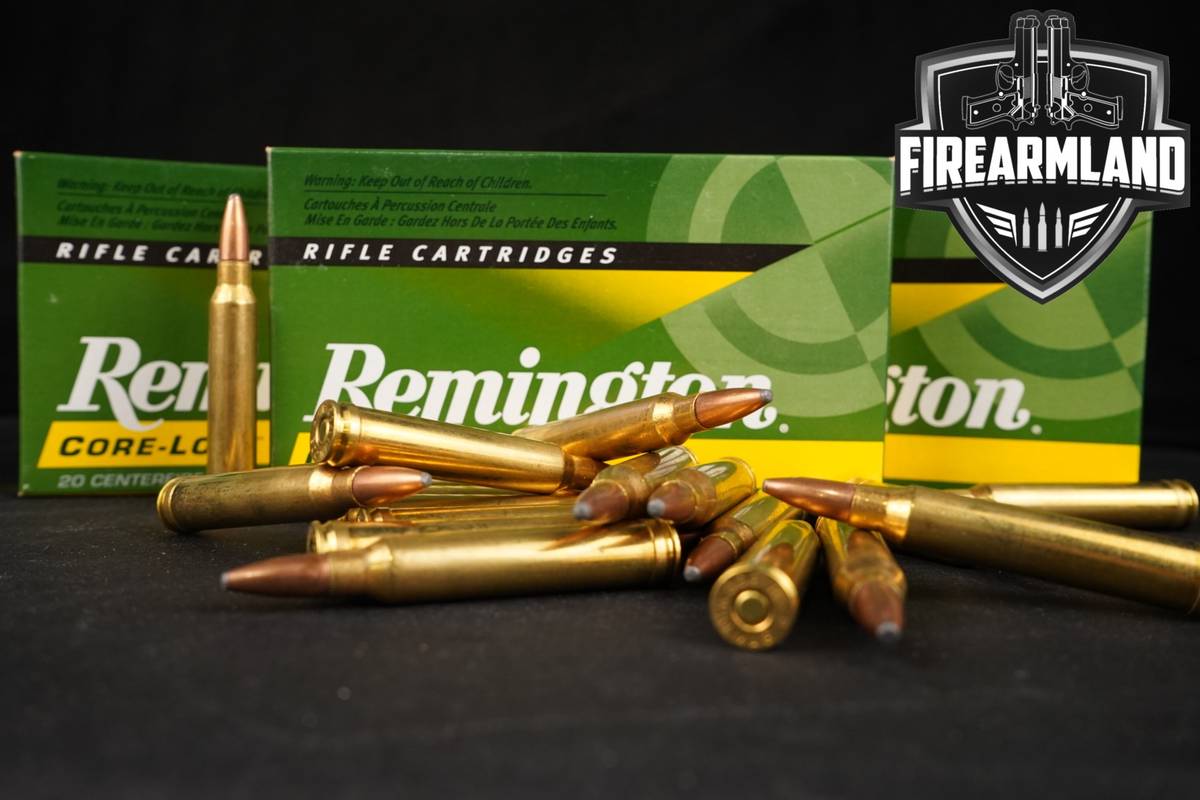 60 RDS! 300 Win Magnum Ammo Mag Ammunition