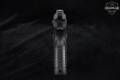 Tanfoglio Force Plus F 9mm Luger Black in Excellent Condition Image 4