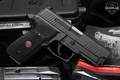 Sig Sauer P229 Legion 9mm Luger Legion Gray in Excellent Condition Image 2