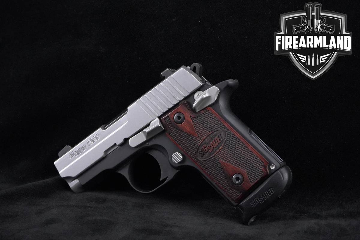 Sig Sauer P238 380 ACP Sig-Sauer P238 P-238 1911 +2 MAGS & ORIG CASE