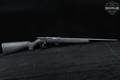 Savage Arms Mark II .22 LR Blued & Synthetic in Very Good Condition Image 3