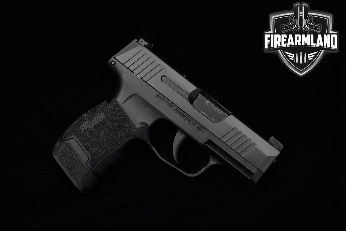 Sig Sauer P365 Nitron Micro Compact 9mm 3.1" Sig-Sauer P365 P-365 ORIG CASE