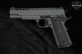 Tisas 1911 Night Stalker, Series 70 .45 ACP Platinum Grey in Excellent Condition Image 3