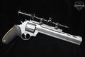 Taurus Raging Hornet .22 Hornet Matte Silver in Good Condition Image 2