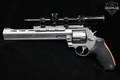 Taurus Raging Hornet .22 Hornet Matte Silver in Good Condition Image 3