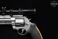 Taurus Raging Hornet .22 Hornet Matte Silver in Good Condition Image 5