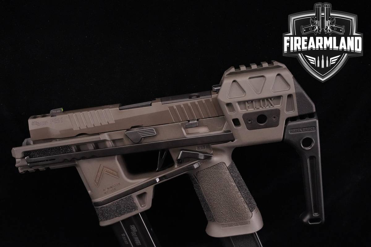 HOLSTER! Sig Sauer P320 FLUX LEGION 9mm 3.9" Legion Gray P-320 +2 MAGS