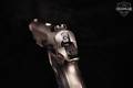 2015 EAA Corp Tanfoglio Witness 10mm Silver in Very Good Condition Image 5