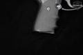 Sig Sauer P239 .40 S&W Nitron in Excellent Condition Image 3
