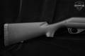 2010 Benelli Nova 20 Gauge Black in Excellent Condition Image 4