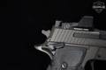 Sig Sauer P229 Legion SAO 9mm Luger (9x19 Para) Legion Gray in Excellent Condition Image 5